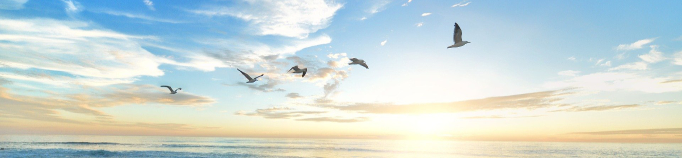 headerbild